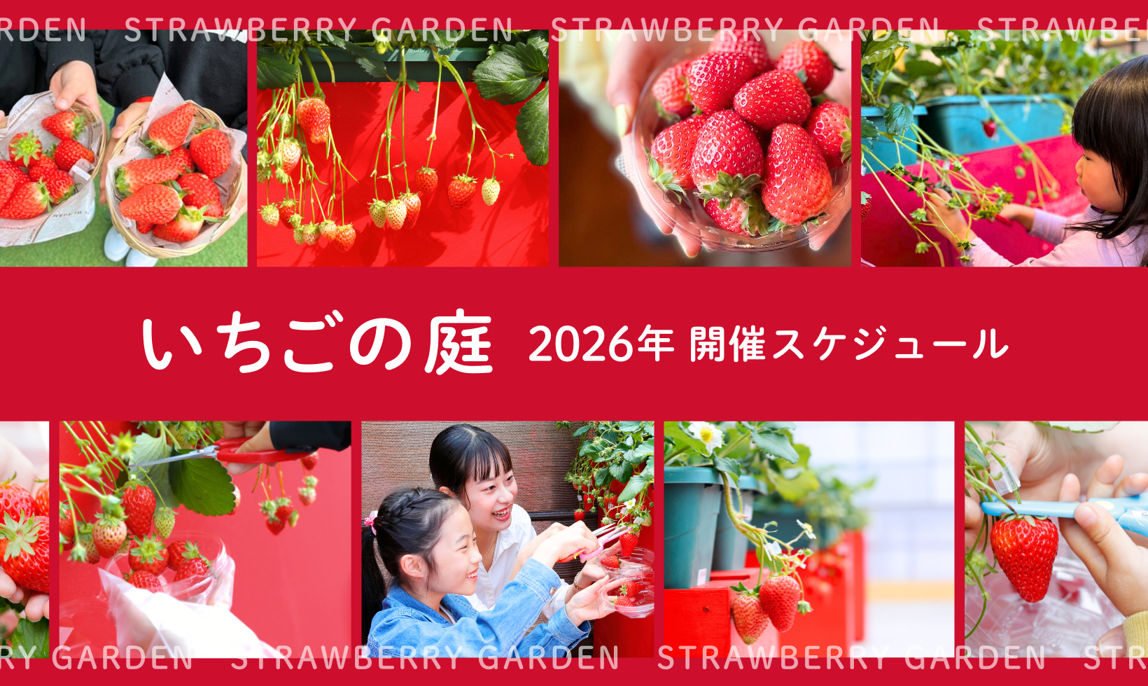 いちごの庭 2026年 開催スケジュール